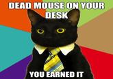 Business Cat