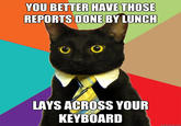 Business Cat