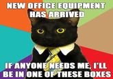 Business Cat