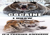 I Fucking Love Cocaine / Cocaine Bear