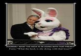 Furries