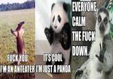 I'm an Anteater!!!