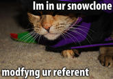 Snowclones