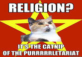 Lenin Cat