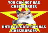 Lenin Cat