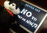 Never Say No to Panda