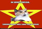 Lenin Cat