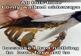 Sad Crab / This Kills The Crab