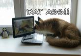 'Dat Ass