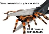 Sad Crab / This Kills The Crab