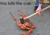 Sad Crab / This Kills The Crab