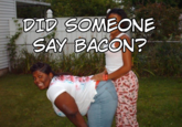 Bacon