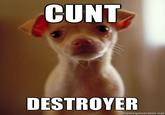 Cunt Destroyer