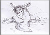 Furries