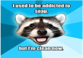 Lame Pun Coon