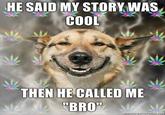 Stoner Dog