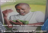 Limes Guy / Why Can't I Hold All These Limes?