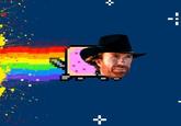 Nyan Cat / Pop Tart Cat