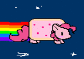 Nyan Cat / Pop Tart Cat