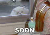 SOON