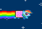 Nyan Cat / Pop Tart Cat