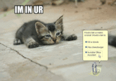 Clippy