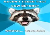 Lame Pun Coon