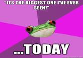 Foul Bachelorette Frog