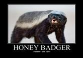 Honey Badger