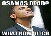 Osama Bin Laden's Death