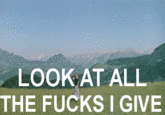 Look At All The Fucks I Give