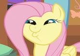 Why Wub Woo / Dashface