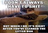 The Most Interesting Cat in the World