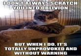 The Most Interesting Cat in the World