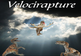 May 21, 2011 Rapture