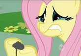 Fluttercry / Characters Watching Tv
