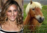 Sarah Jessica Parker Looks Like a Horse