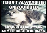The Most Interesting Cat in the World