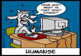 Goatse