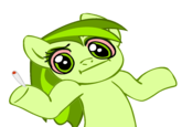 Pony Reactions