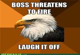 Bold Eagle