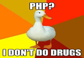Technologically Impaired Duck