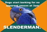 Paranoid Parrot