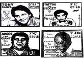 X has a Posse