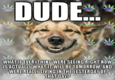 Stoner Dog