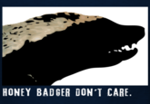 Honey Badger