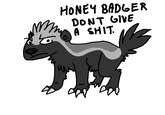 Honey Badger