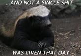 Honey Badger