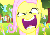Flutterrage / Flutterbitch