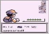 A Wild X Appears! / Wild X Appeared!